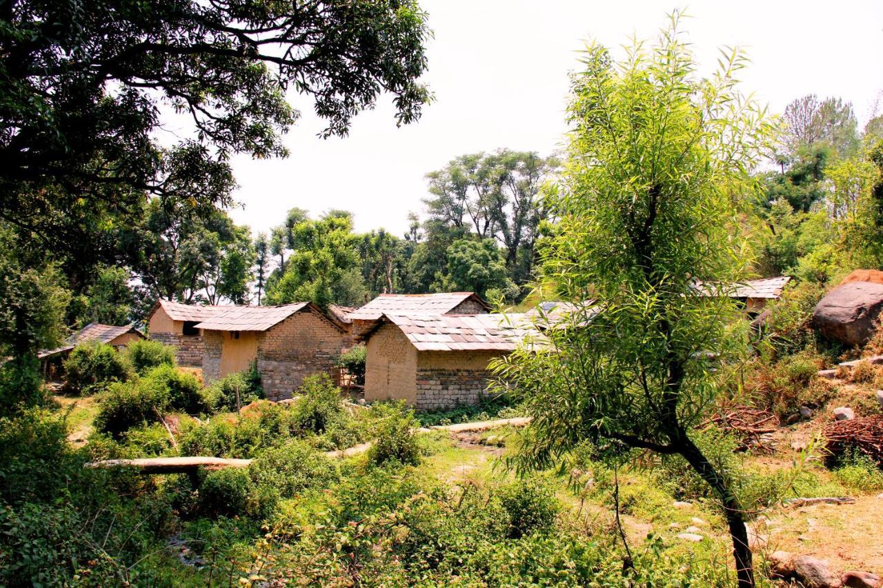 Prakriti Aalay - Riverside Mountain View Boutique Eco Resort Dharamshala Eksteriør bilde