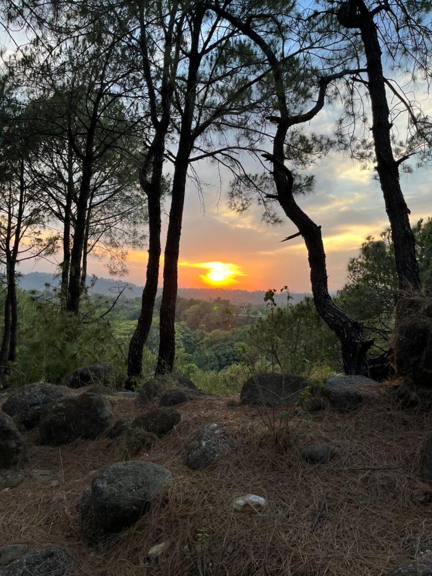 Prakriti Aalay - Riverside Mountain View Boutique Eco Resort Dharamshala Eksteriør bilde